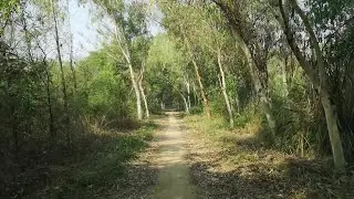Duffer Forest Pakistan |2nd Biggest Jungle of Pakistan | Rest House Duffer Plantation