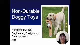 Non-Durable Doggy Toys - Development and Testing