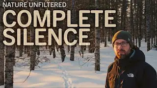 2026 Winter Escape: Off-Grid Sovereignty Quest in Silent Woods