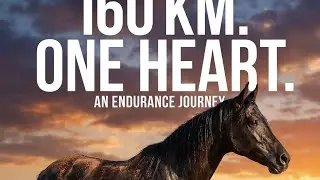 &ldquo;Shadow of Endurance &ndash; A Horse That Refused to Quit&rdquo;