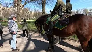 4K walk through Central Park, New York City 🌿 ! 4K में सेंट्रल पार्क, न्यूयॉर्क सिटी की सैर  !