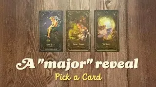 The major shift, challenge, or opportunity that you're ready for : Pick a card tarot reading