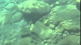 Lewis River Underwater