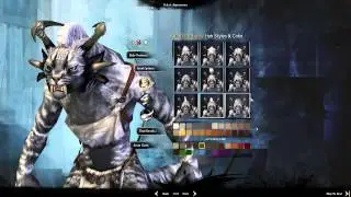 Guild Wars 2 Character Creation - Total Babe Female Charr