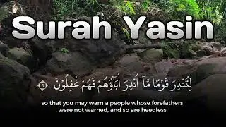 Healing Quran | Peaceful Night – Surah Yasin Quran