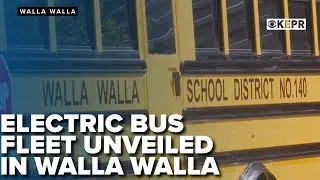 Walla Walla Public Schools unveils new electric bus fleet; largest in Washington state