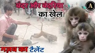 Game of monkey and female monkey || monkey talent || see the magic of monkey #arzan_1_network
