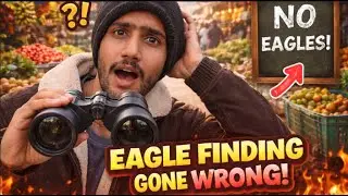 Eagle Lenay Chala Gaya 🦅😱 | Dangerous Pet Hunt? | Mazro Farm