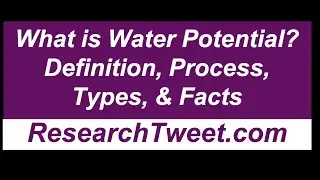 What is Water Potential? Definition, Process, Types, & Facts