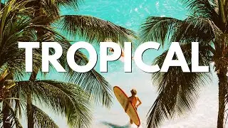 Faos &mdash;  Tropical Feels
