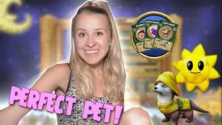 Wizard101: How To Make Your Dream Pet!