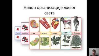 Nivoi organizacije  živog sveta