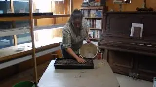 Starting Onion Seeds