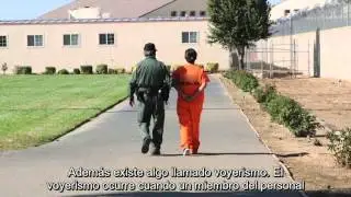 PREA Spanish Video Subtitles HD