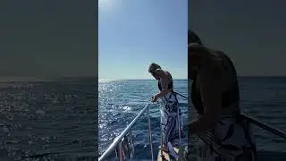 Boat Trip, Dolphins & Italian Food | Team Day in Estepona.