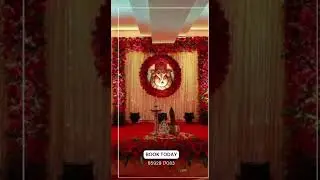 #wedding #eventplaning #event #decorations #kochi