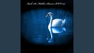 St. Matthew Passion - Part One: The Lord's Supper, BWV 244: Recitative (Evangelist, Jesus,...