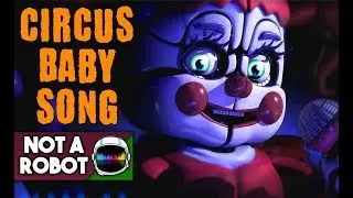 CIRCUS BABY SONG 