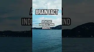 Fact #57: How often does your mind wander? 🤔 #brain #facts #wander