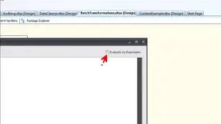 BI xPress Variable Editor