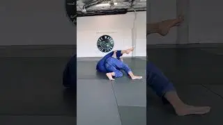 Body Triangle Escape to Single Leg X Guard to Back Take by Professor Mauricio Antunes #bjj #jiujitsu