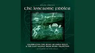 Paddy Faheys / Sergeant Early's Dream / With Her Long Hair Flowing Down Her Back (feat. John Doyle)