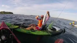 Mudjimba Island kayak fishing session captured on Action Hat