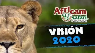 Visi&oacute;n 2020 | Mensaje de Amy Camacho para la Tribu y el inicio de la d&eacute;cada