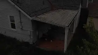 Tree footage