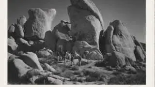 Ansel Adams' Zone System: Joshua Tree