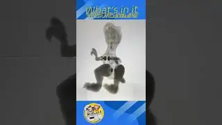 JURASSIC PEEK | X-RAY of a Little Dino Toy - WIW &ndash; ep82