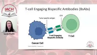 Bispecific Antibodies in Lymphoma