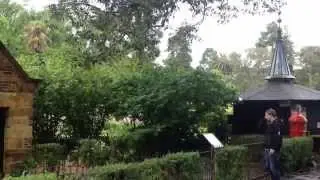 Fitzroy garden