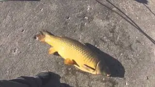 fishing at Montrose harbor shoe horn, Lake Michigan