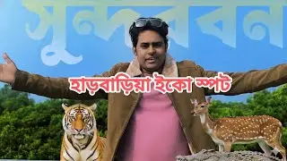 সুন্দরবন ভ্রমন- হাড়বাড়িয়া ইকো স্পটের অজানা গল্প #sundorban 