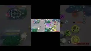 Tsareena Vs Absol Fight of the Century