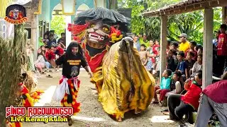 BARONGAN NGAMUK! Barongan Hampir Kesurupan ! Barongan Singo Rogowongso Terbaru live Kerangkulon