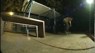 Collin Hale Profile
