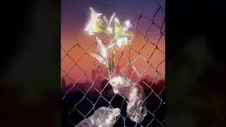 [FREE] Brent Faiyaz x Yung Bleu Type Beat 2024 - 