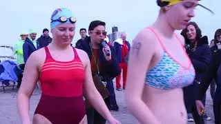 Melting Pot #7: Swimming Culture