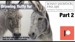 Drawing Fluffy fur with coloured pencils - Part 2