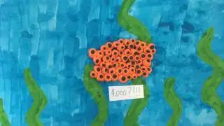 Trout Life Cycle