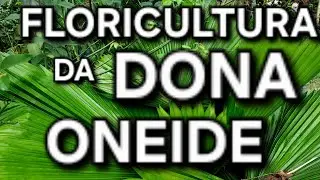 🌱⚘️🌱#REFÚGIO VERDE☘️🌹☘️ VISITOU A #FLORICULTURA DA DONA ONEIDE  
