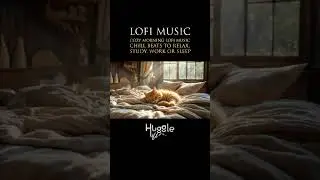 Morning Lofi Loop | Study, Relax, or Sleep ☀️ | Huggle Hill