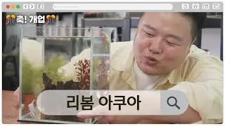 [축개업] 학원 때려치고 수족관을 차리다? 성공한 물고기 덕후 사장님 #리봄아쿠아