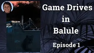 Game Drive in Balule Ep1