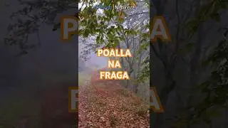 Poalla na fraga. #apbvigo #vigo #galicia
