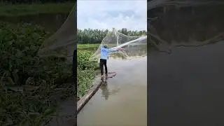 How to catch strange fish in my village. #fishing #dothingsyoudontwanttodo #fish