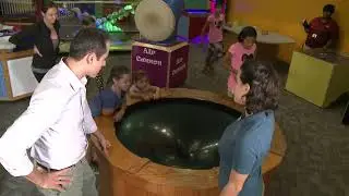 On the Town in The Palm Beaches: Children's Science Explorium