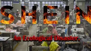 Shein - An ecological disaster.